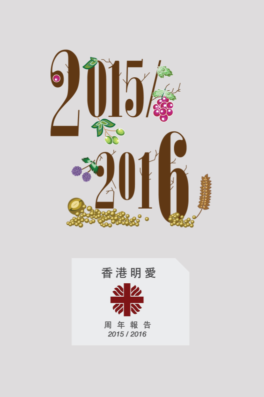 香港明愛周年報告 (2015-16) － 家庭服務